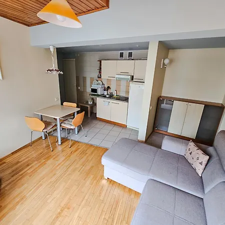 Mazoji Vilija Appartement *
